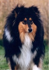 Publication : d'Akernar Dénébola