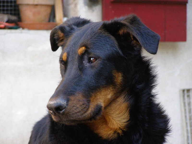 Publication : Du perouet