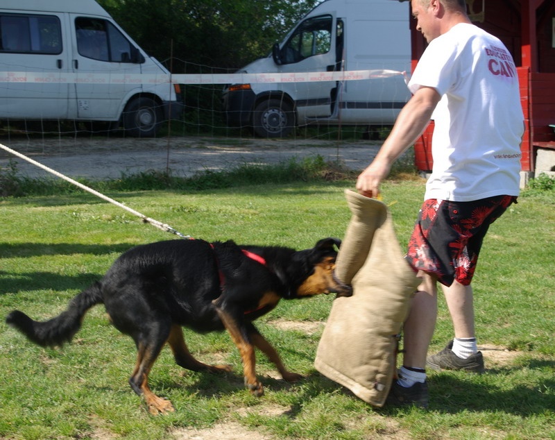 Publication : Du perouet