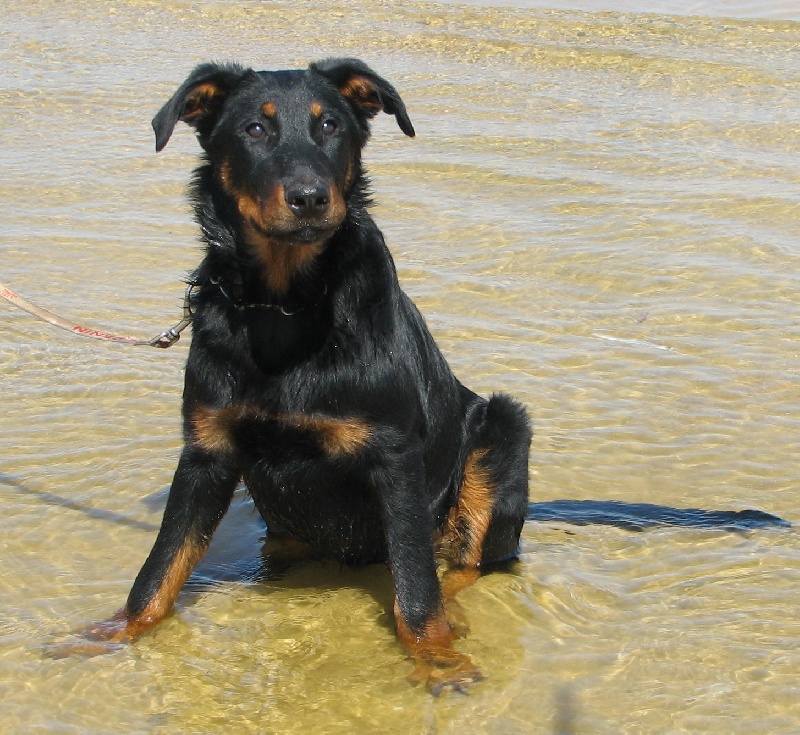 C' quelern Du perouet - TP