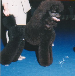 Publication : de Chamberande Auteur : Gad