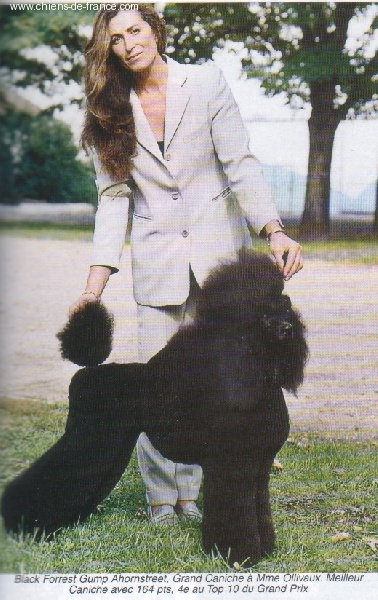 Publication : de Chamberande Auteur : Gad