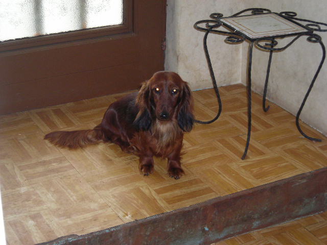 Publication : des Appalahuacs