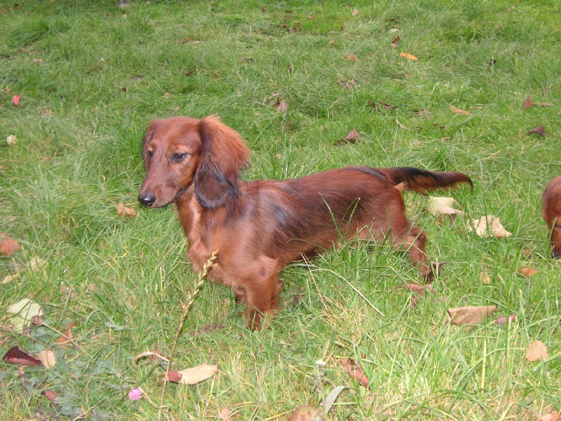 Publication : des Appalahuacs