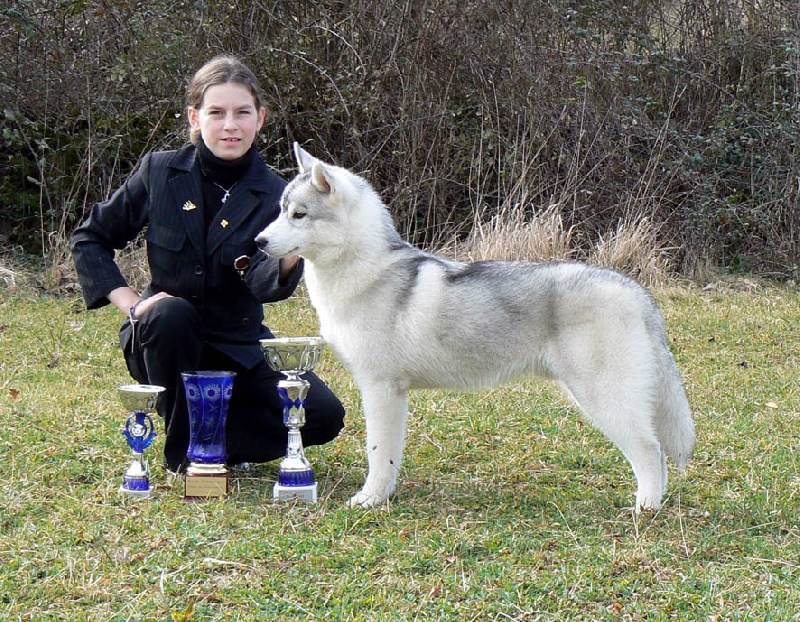 Jimini dit jimy della farha - TP,BOG, BOB ,BIS