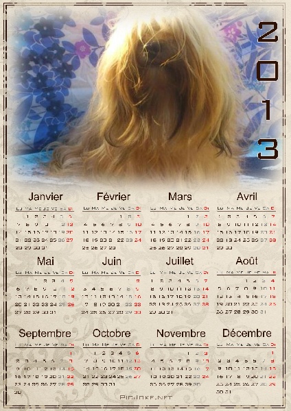 Publication : Von zirpen