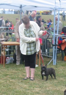 Honolulu du bois de faitin - 1er Exc - Meilleur Jeune