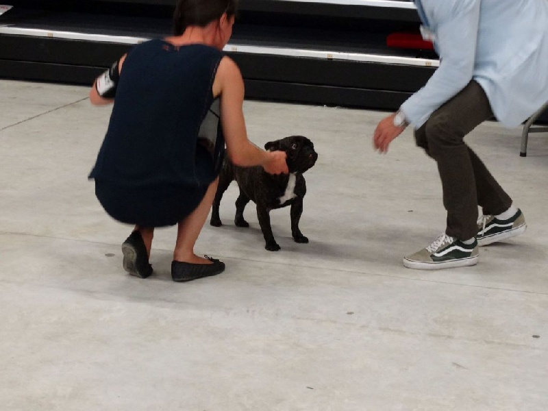 Honolulu du bois de faitin - Très Bon ?????????