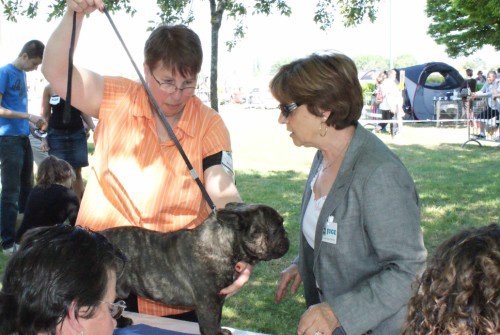 Dali du bois de faitin - 1er Excellent - RCACS