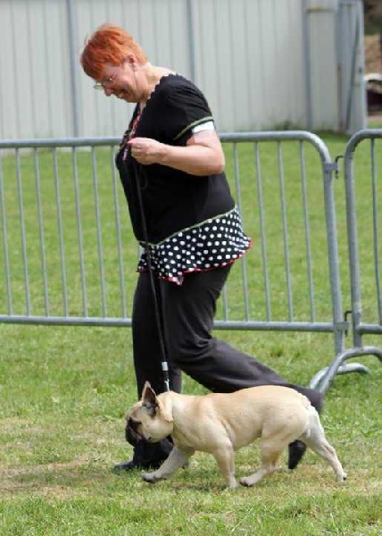 French du bois de faitin - 1er Très Prometteur