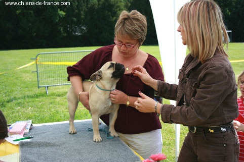 Clementine du bois de faitin - 1er Très Prometteur