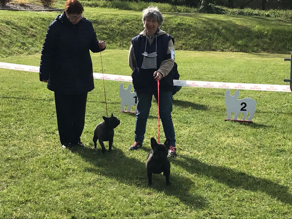 CH. Orange du bois de faitin - 3ème Excellent