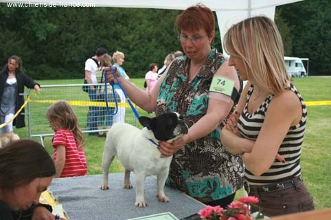 Patchouli Du clos naïka - 2ème Excellent