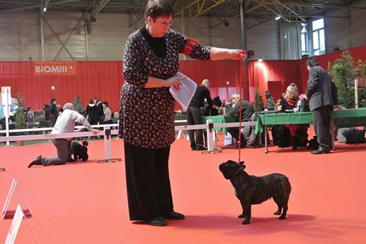 Honolulu du bois de faitin - 1er Exc CAC