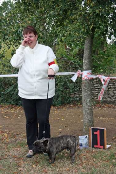 Dali du bois de faitin - 1er Excellent