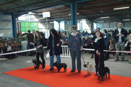 Clementine du bois de faitin - 3ème Excellent