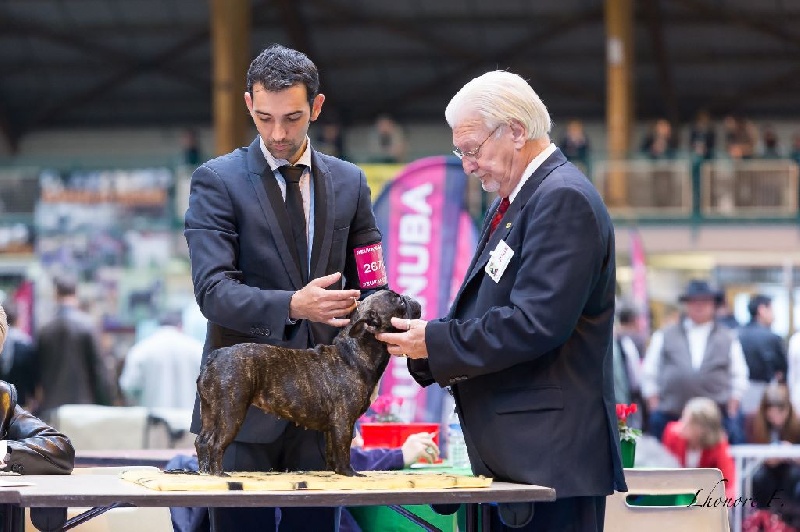 Honolulu du bois de faitin - Très Bon ?????