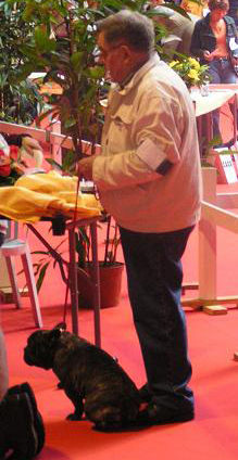 Dali du bois de faitin - 3ème Excellent