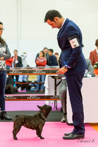 Honolulu du bois de faitin - Excellent