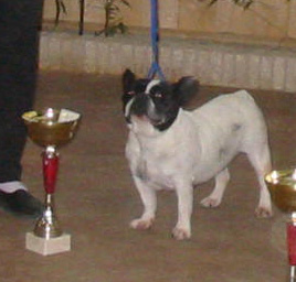 Patchouli Du clos naïka - 1er Excellent