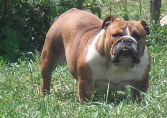 Paint it black Tea for two