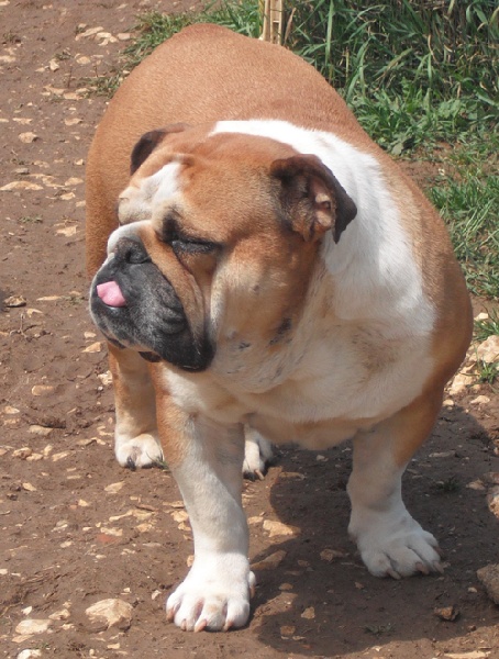 Paint it black C' brown sugar