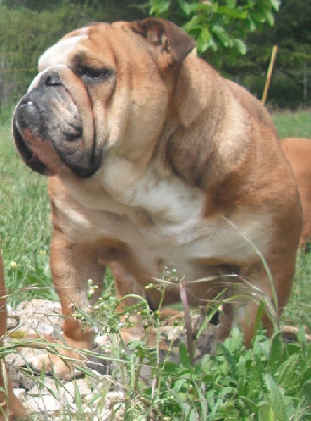 Paint it black Cannelle