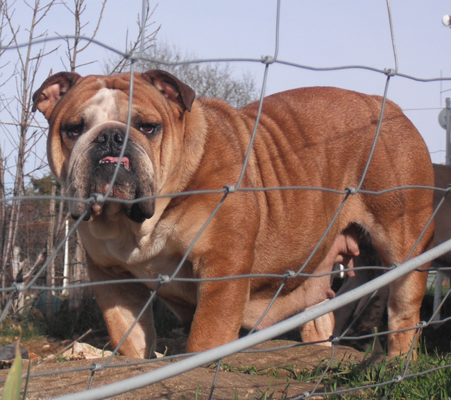 Paint it black Cannelle