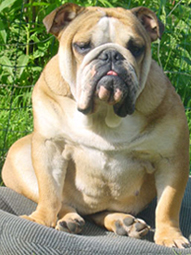 Paint it black Cannelle