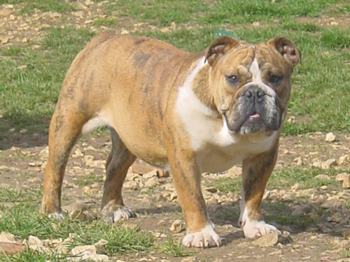 Paint it black Tea for two