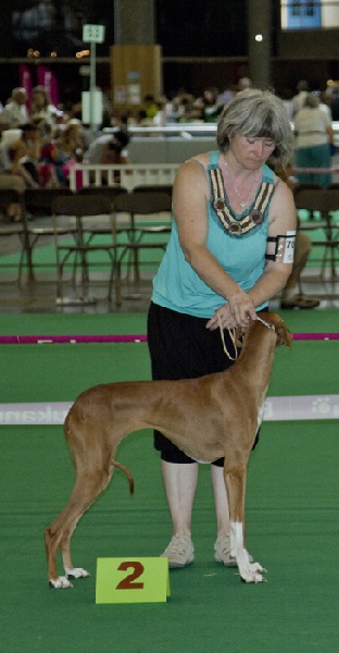 Dahane de garde-epée - CIF : 1ère EXC RCACS-RCACIB