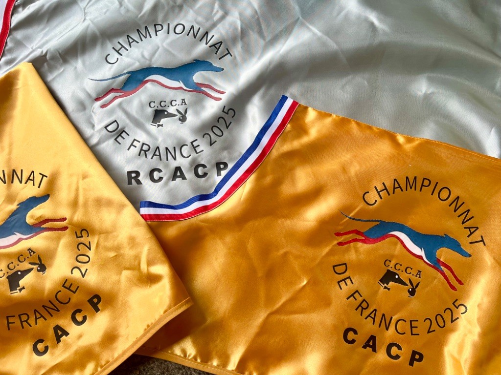 Dasmiya (Sans Affixe) - EXC 1 CACP