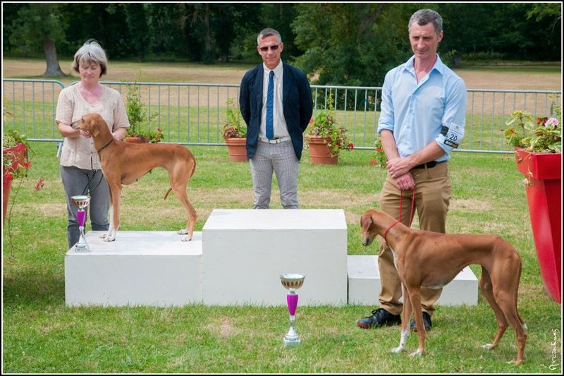 Dahane de garde-epée - COF : 2ème EXC