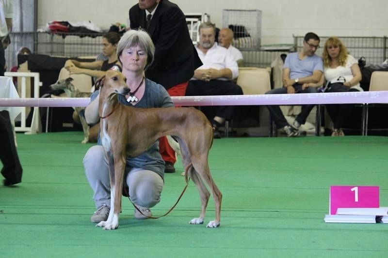 Dahane de garde-epée - COF : 3ème EXC