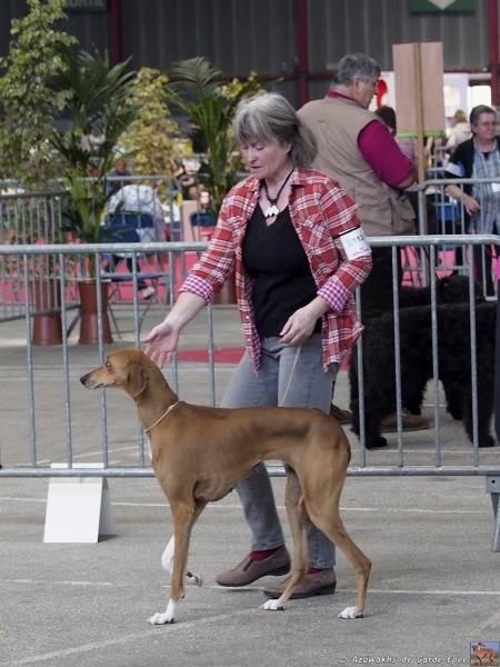 Dahane de garde-epée - COF : 1ère EXC RCACS-RCACIB