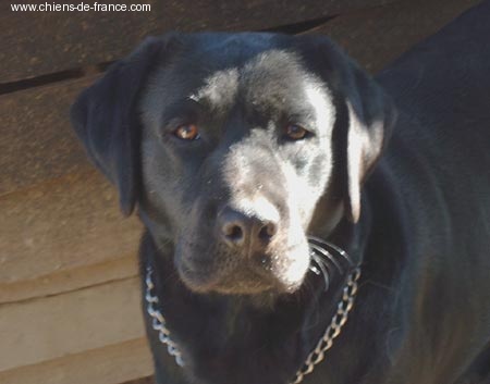 Swing time of Chelsea Garden - 5 EXCELLENT