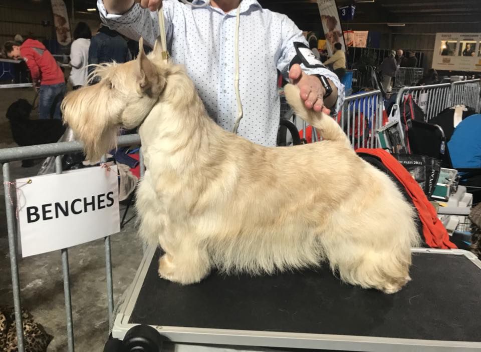 Publication : du Loch D'Ergué Auteur : Irina GALICHSKAYA / Jay WATERHAM