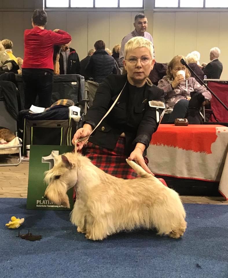 Publication : du Loch D'Ergué Auteur : Irina GALICHSKAYA / Jay WATERHAM