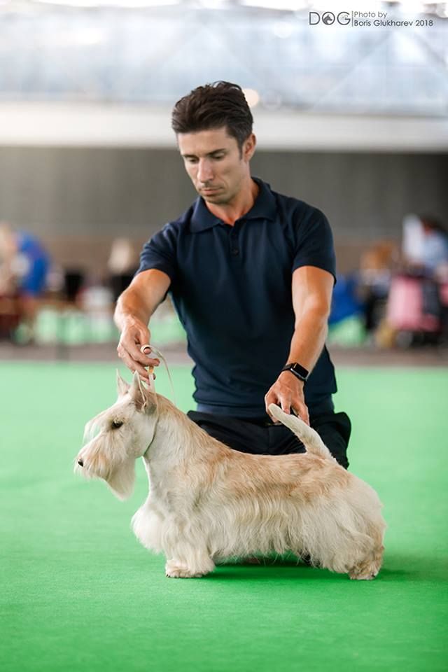 Publication : du Loch D'Ergué Auteur : Irina GALICHSKAYA / Jay WATERHAM