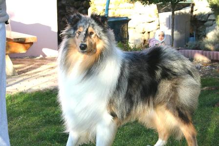 Publication : Of Connemara's Highlands