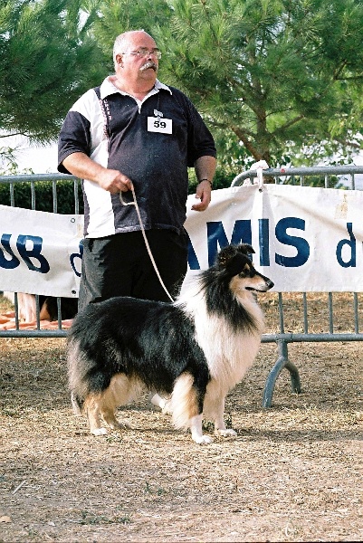 Publication : Of Connemara's Highlands