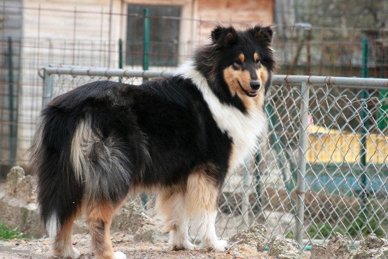 Publication : Of Connemara's Highlands Auteur : ARMELIN S.