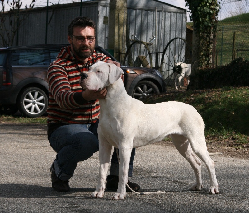 CH. Ecstasy de los Hijos de la Luna