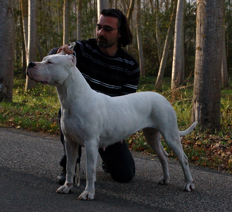 CH. Ecstasy de los Hijos de la Luna