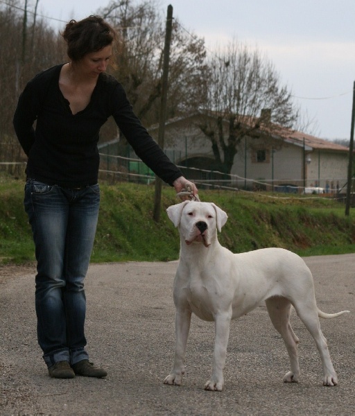 CH. Ecstasy de los Hijos de la Luna