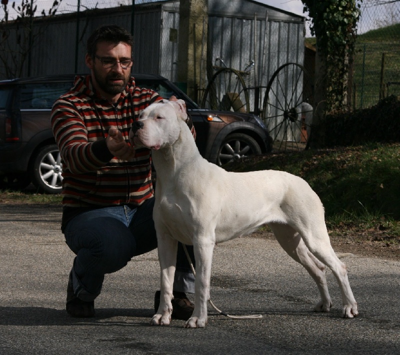 CH. Ecstasy de los Hijos de la Luna