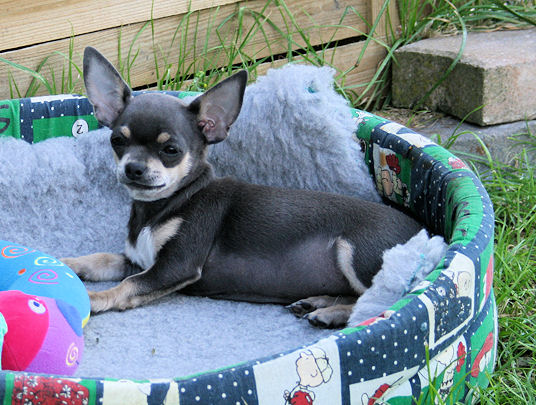 Publication : Something Else Auteur : Josiane JENNY