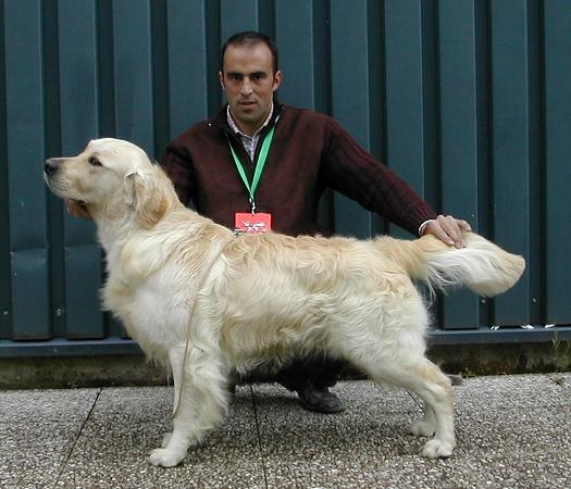 Usher du Domaine des Rives de l'Erdre - CACIB