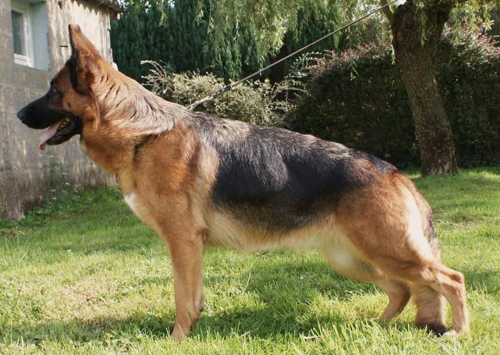 Publication : Beffroi du boulonnais