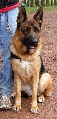 Publication : Beffroi du boulonnais